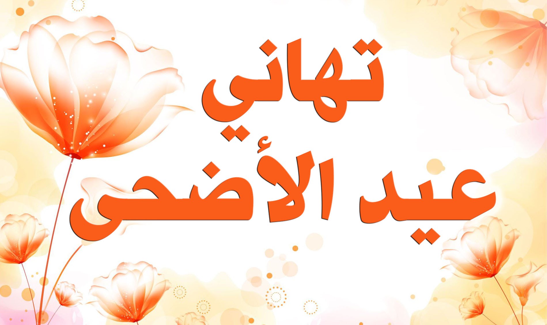 صور عن عيد الاضحى , شاهد بالصور عادات عيد الاضحى