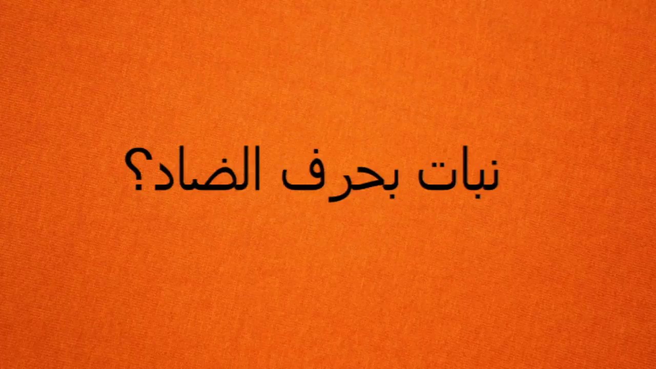 نبات بحرف ال ض , تعرفي ايه هو النبات اللى بدايته حرف ضاد