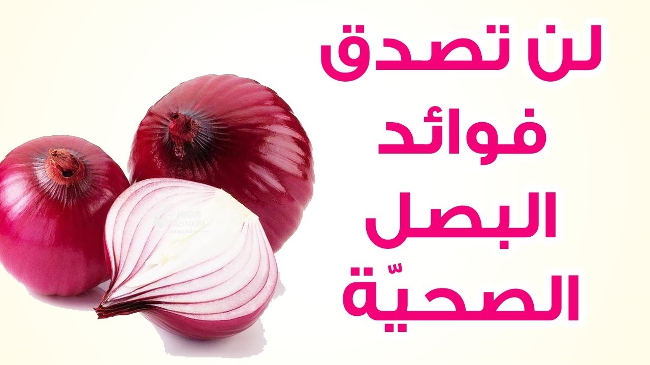 فوائد البصل , اهميه البصل للجسم