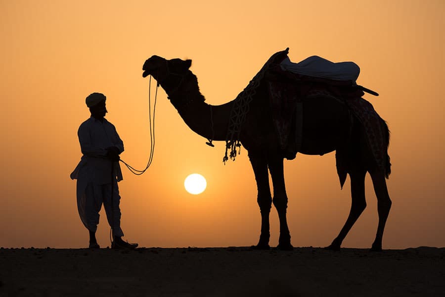 ركوب الجمل في المنام , تفسير رؤية الجمل لابن سيرين