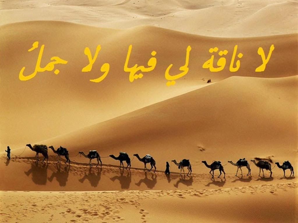 امثال وحكم عربية- كلام هيعجب اى حد بيفكر 8650 9