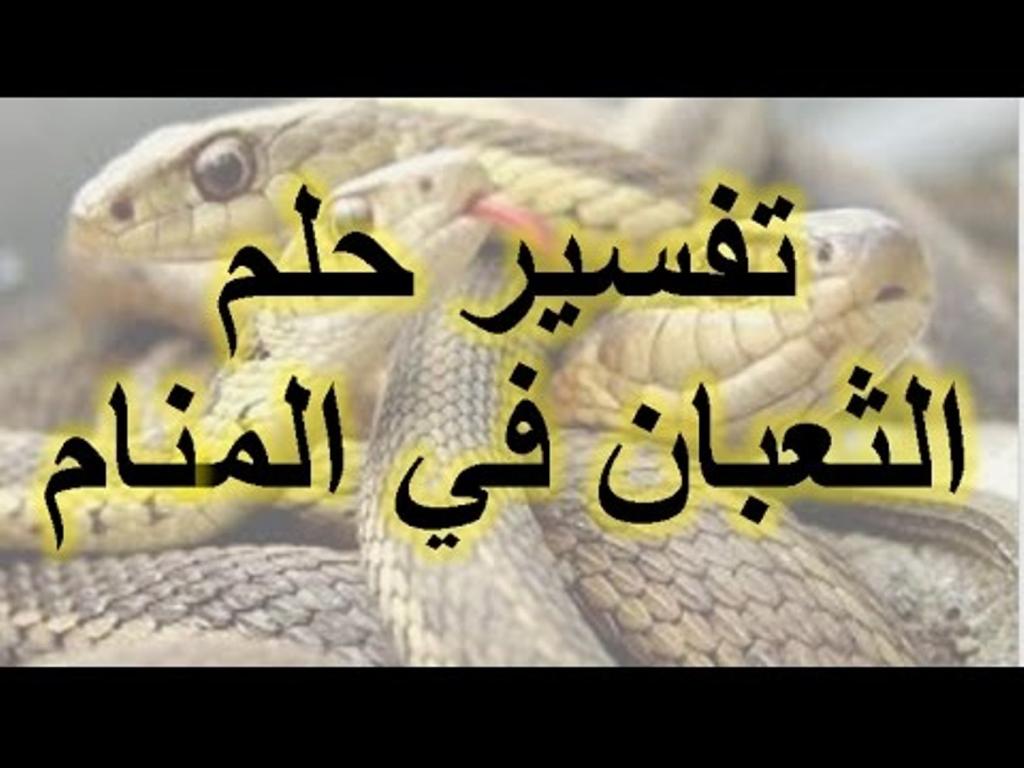 تفسير الثعبان في المنام , لما تشوف الافعى فى حلمك